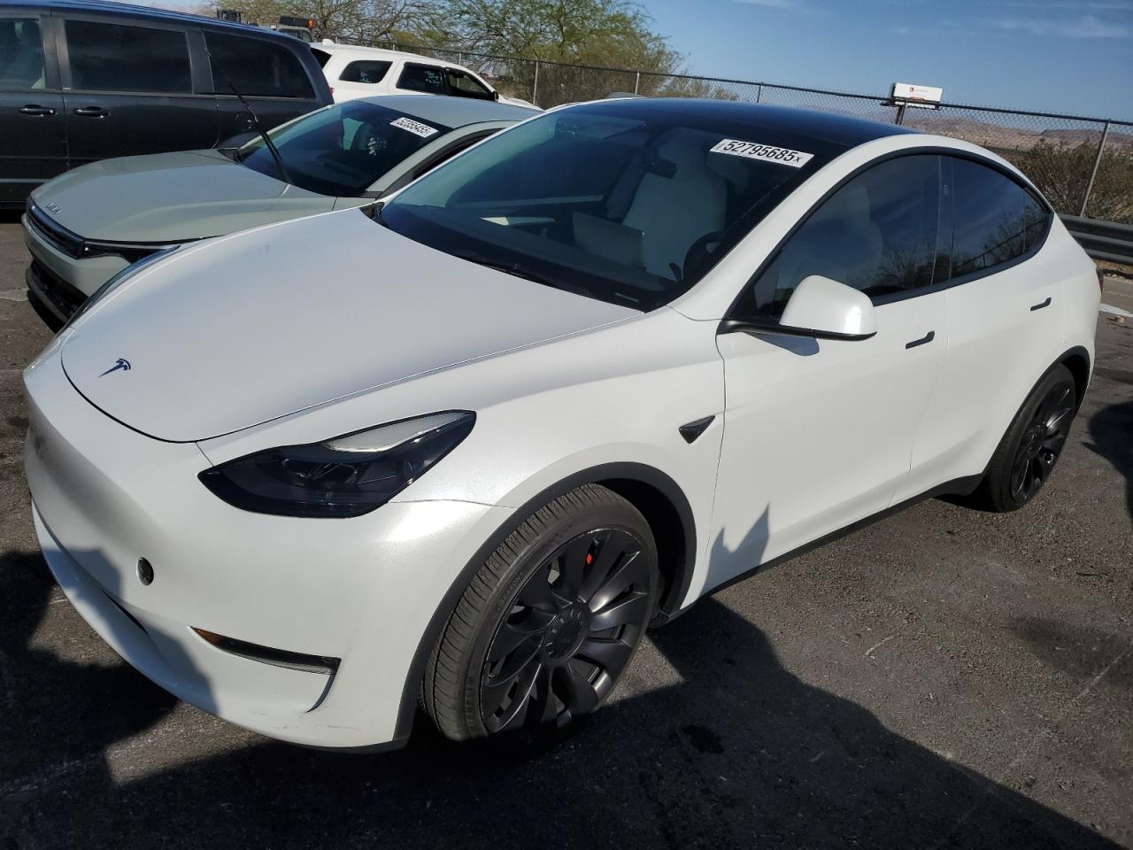 TESLA MODEL Y