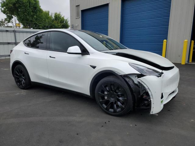 2023 TESLA MODEL Y - 7SAYGDEEXPF744472