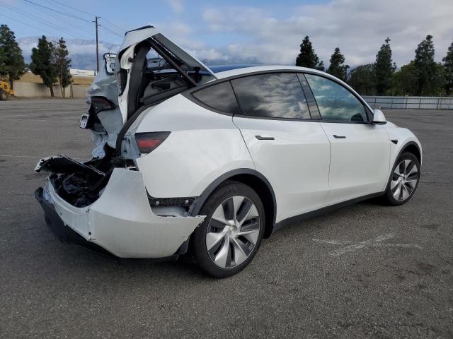 Vin: 5yjygdeexmf075600, lot: 51648545, tesla model y 20213