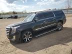 Top Destinations for Shipping Cars from the USA