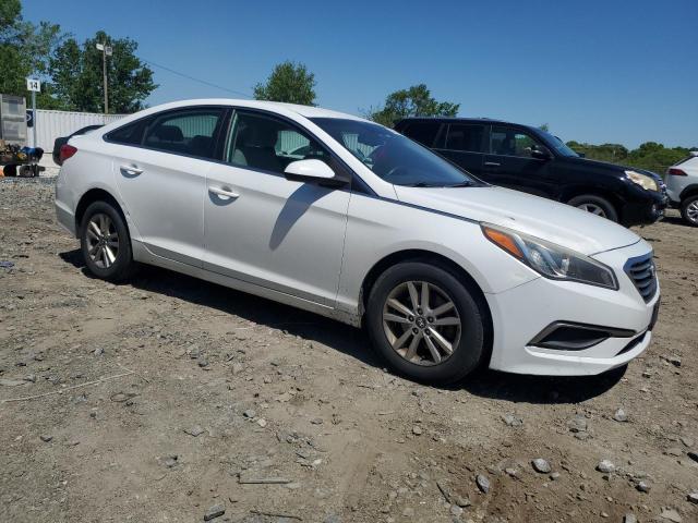 Vin: 5npe24af1gh343715, lot: 54166545, hyundai sonata se 20164