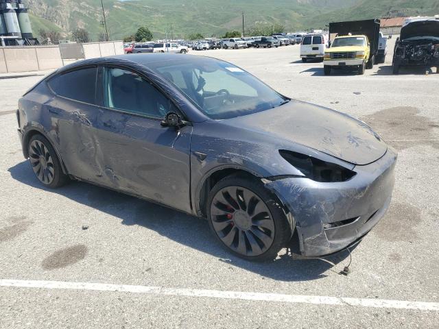 2023 TESLA MODEL Y 7SAYGDEF7PF916563