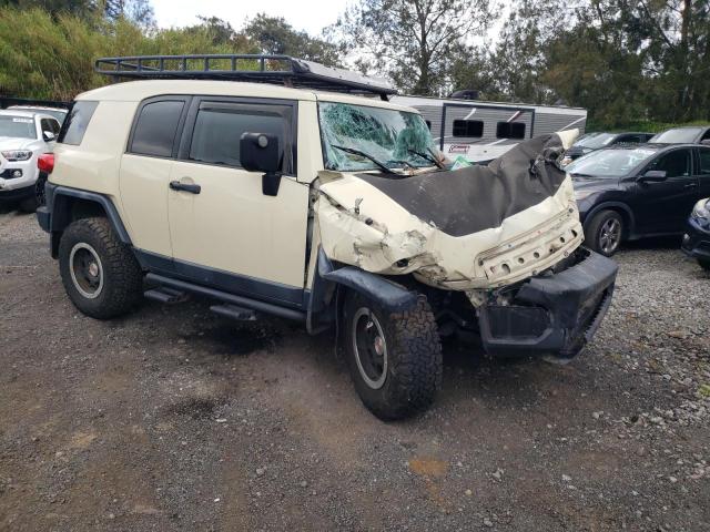 Vin: jtebu4bf6ak072876, lot: 53920625, toyota fj cruiser 20104