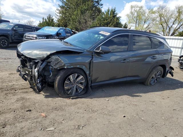 Vin: km8jbca16pu088106, lot: 53565965, hyundai tucson blue 2023 img_1