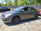 TOYOTA COROLLA BASE