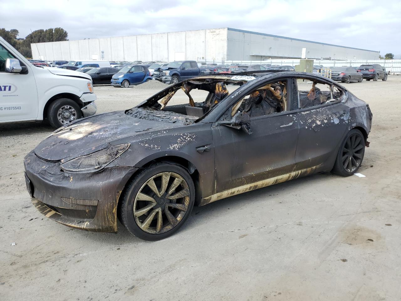 TESLA MODEL 3