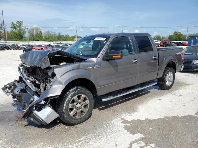 Vin: 1ftfw1ef3dfd32612, lot: 53959375, ford f-150 supercrew 2013 img_1