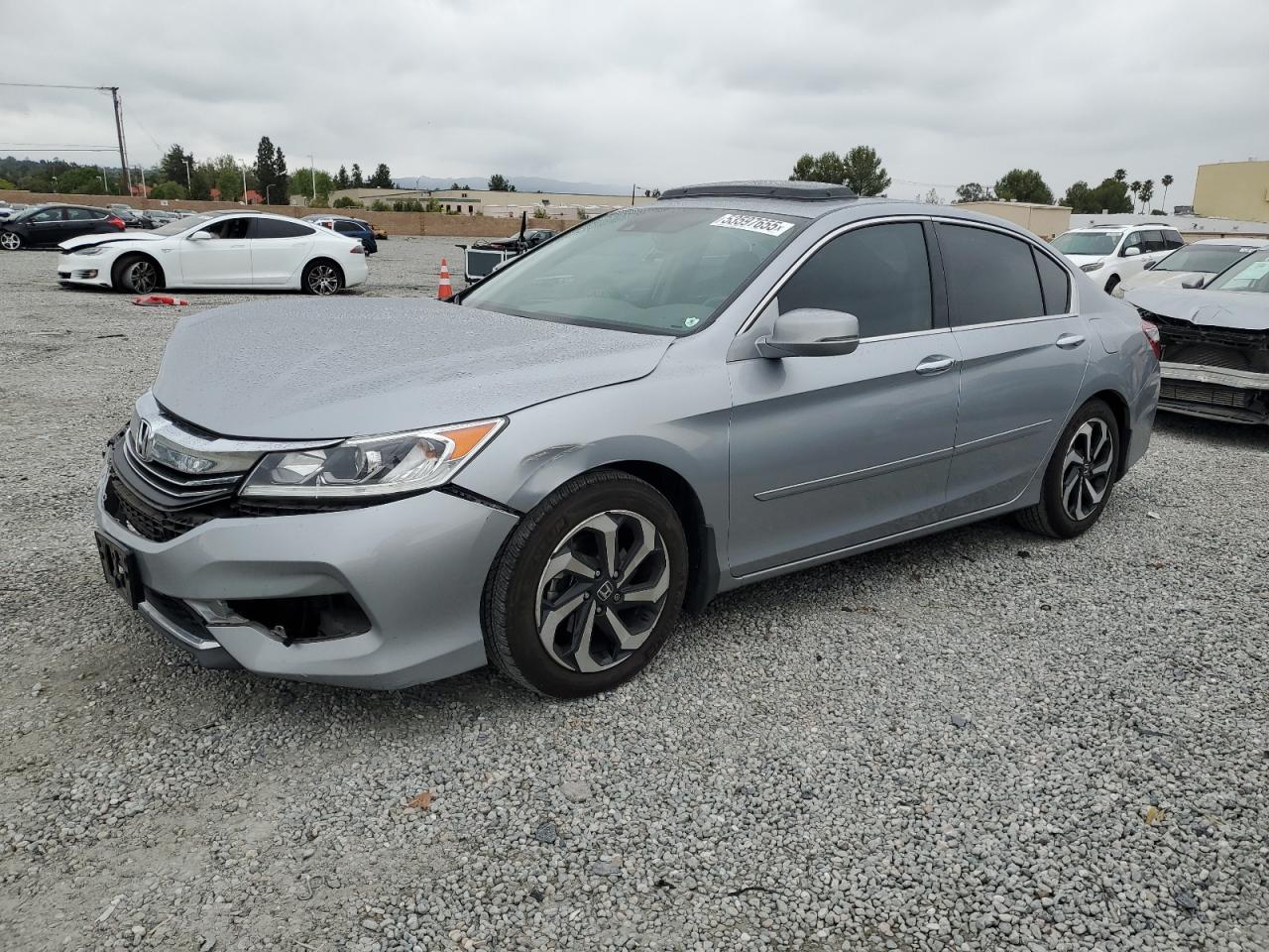 HONDA ACCORD EXL