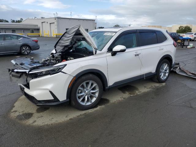 Vin: 5j6rs3h72rl007798, lot: 51017205, honda crv exl 2024 img_1