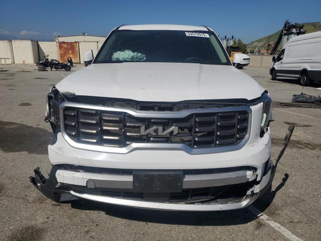 2023 KIA TELLURIDE - 5XYP64GC9PG346105