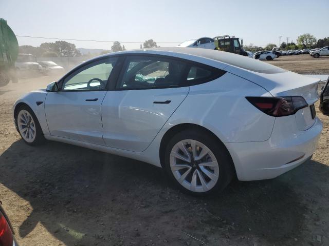 2023 TESLA MODEL 3 - 5YJ3E1EAXPF510311