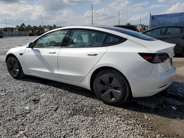 Vin: 5yj3e1ea4pf607259, lot: 54189935, tesla model 3 20232