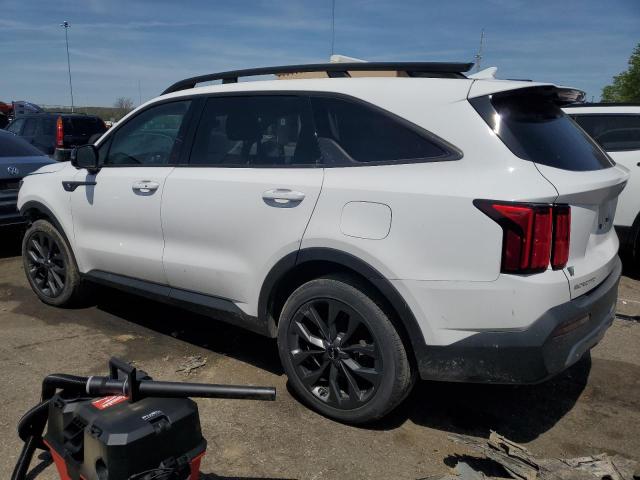 Vin: 5xyrkdlf5pg228461, lot: 54006945, kia sorento sx 20232