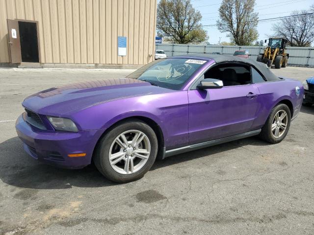 Vin: 1zvbp8en6a5142894, lot: 53273965, ford all models 2010 img_1
