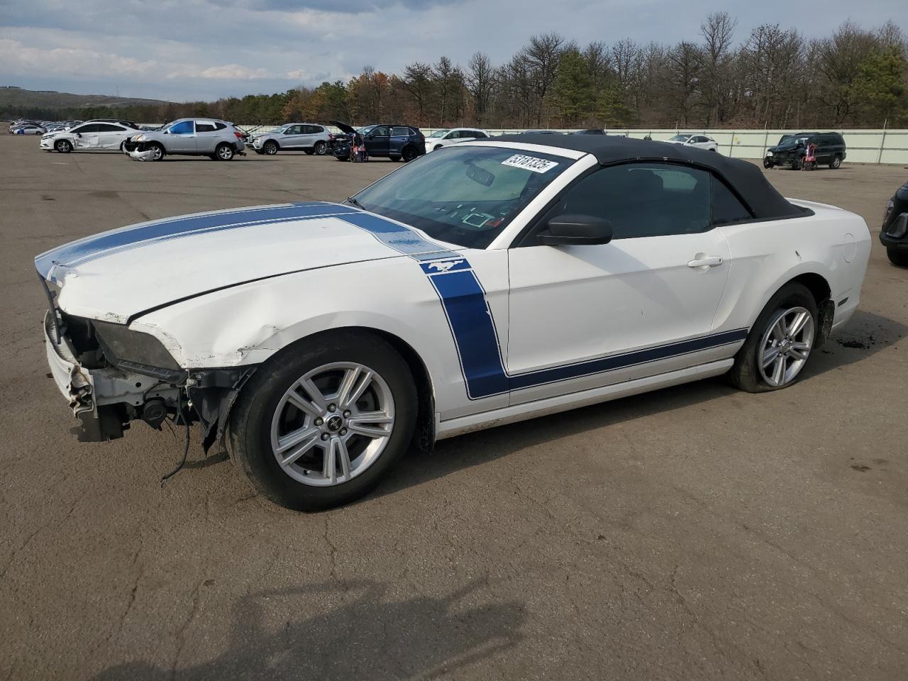 FORD MUSTANG