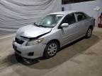 TOYOTA COROLLA BASE