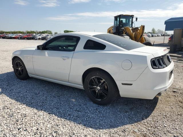 Vin: 1zvbp8am9e5204579, lot: 53128515, ford all models 20142