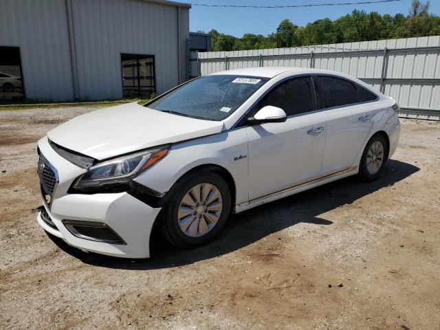 HYUNDAI SONATA HYBRID