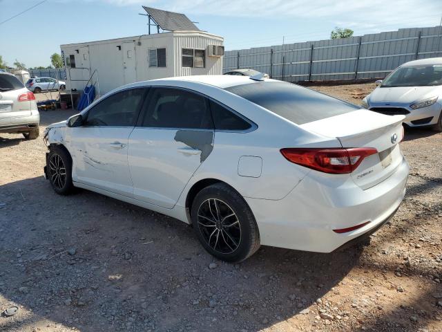 2016 HYUNDAI SONATA SE - 5NPE24AF6GH398919