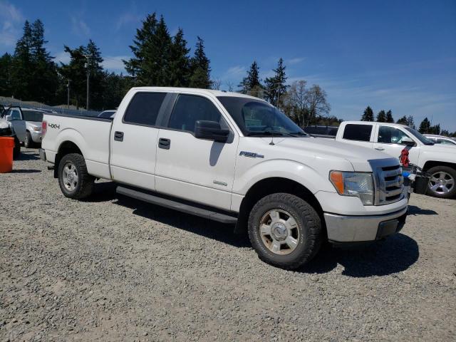 Vin: 1ftfw1et9bfb86252, lot: 53589625, ford f-150 supercrew 20114