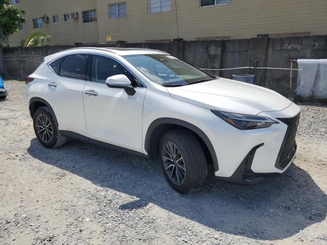 Vin: jtjggcez8r2011040, lot: 51504025, lexus nx 350 pre 350 premium 20244