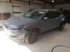 2019 JEEP CHEROKEE L - 1C4PJMLB2KD414179