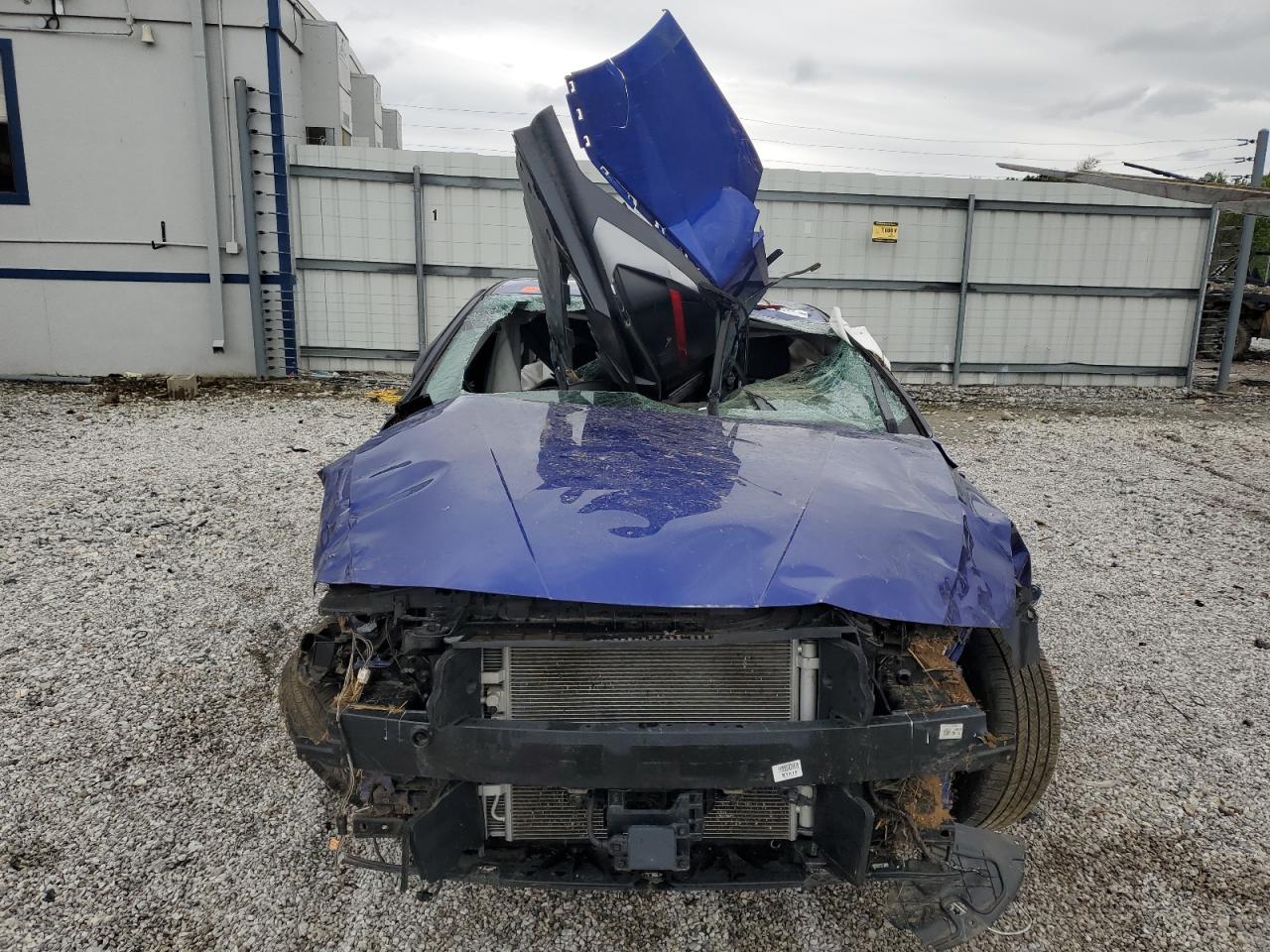 Global Auto Auctions