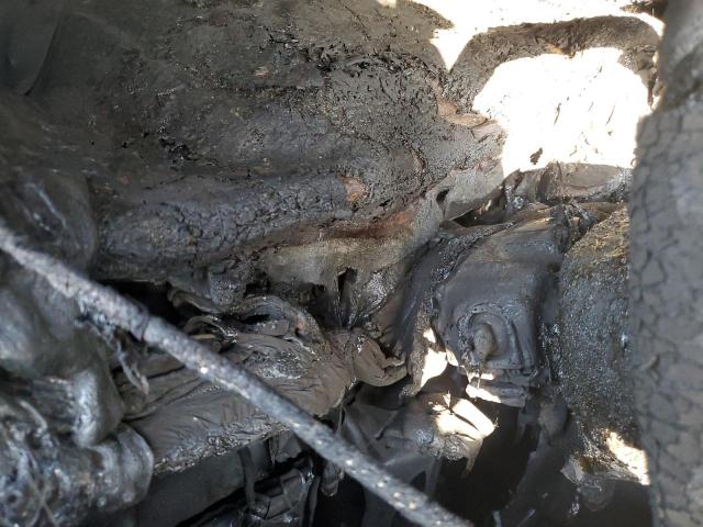 2023 FORD ESCAPE ST - 1FMCU9MN1PUB35577