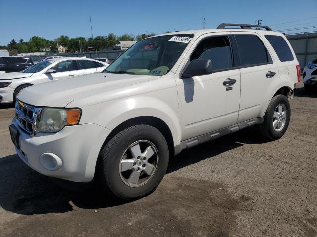 Vin: 1fmcu9d76akb90062, lot: 55309665, ford escape xlt 2010 img_1