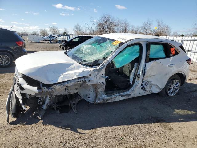 Vin: 1fmcu0gn2pua34216, lot: 53068875, ford escape act active 2023 img_1