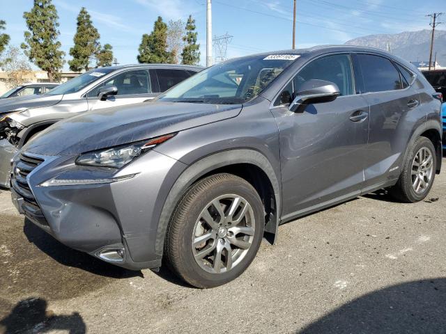 LEXUS NX 300H