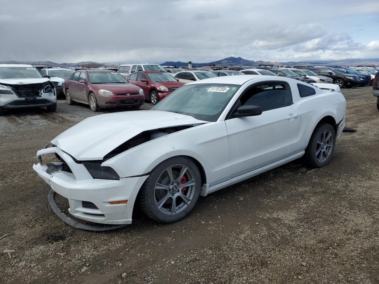 FORD MUSTANG