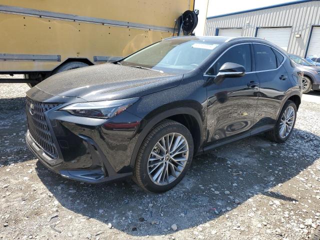 LEXUS NX 350 PREMIUM