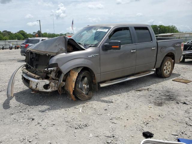 Vin: 1ftfw1ev7afc81392, lot: 53999035, ford f-150 supercrew 2010 img_1