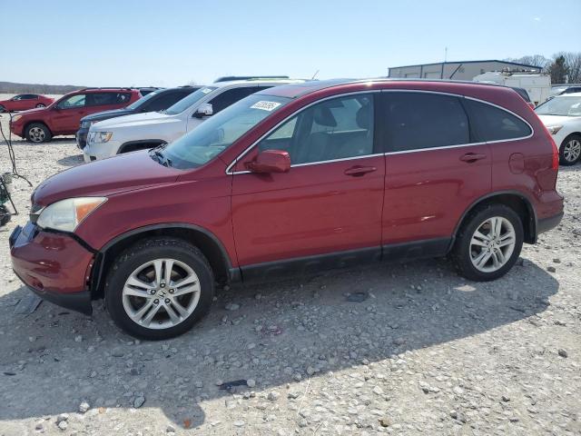Vin: 5j6re4h71al001749, lot: 53285395, honda crv exl 2010 img_1