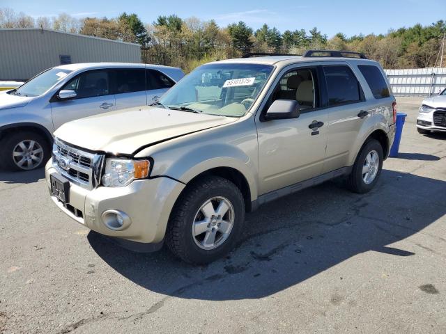 Vin: 1fmcu9d78cka26248, lot: 55101575, ford escape xlt 2012 img_1