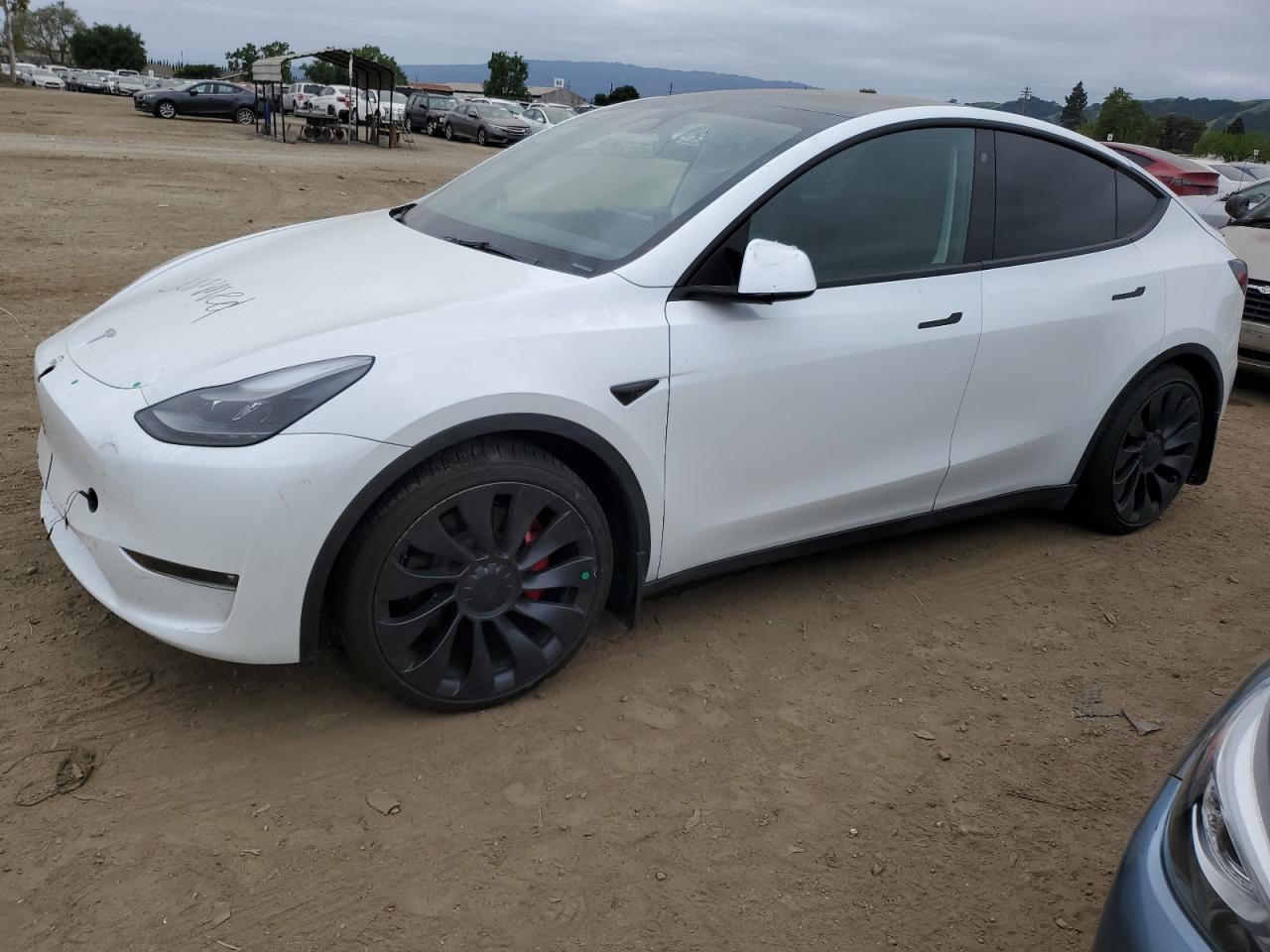 TESLA MODEL Y