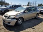 Top Destinations for Shipping Cars from the USA