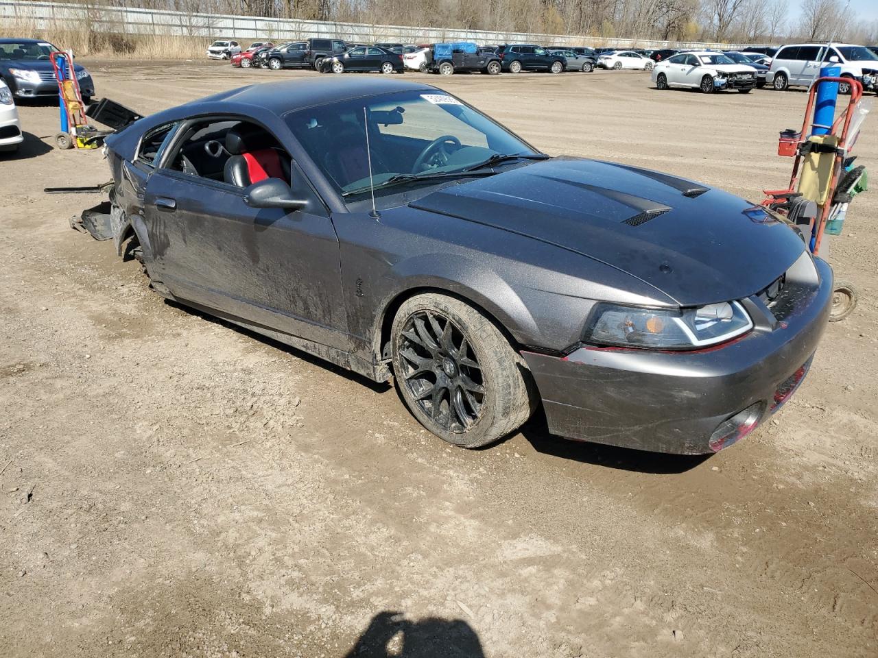 Lot #3302733008 2003 FORD MUSTANG MA