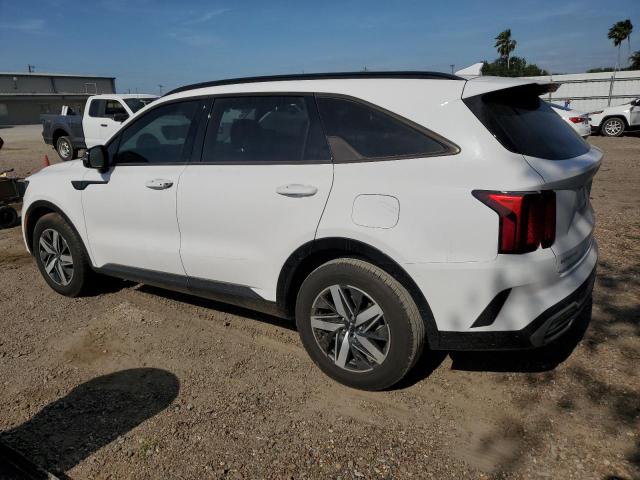 Vin: 5xyrl4lc0pg181259, lot: 53523155, kia sorento s 20232
