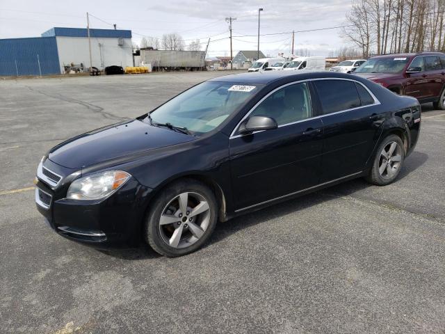 Vin: 1g1zc5eu8bf345468, lot: 54681785, chevrolet malibu 1lt 2011 img_1