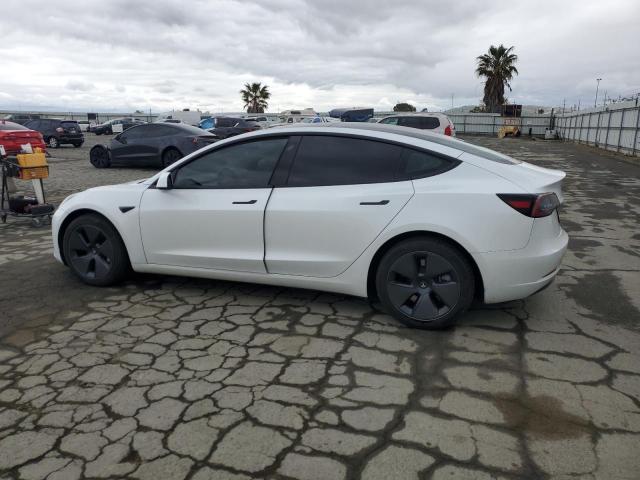 Vin: 5yj3e1ea0pf581937, lot: 53394755, tesla model 3 20232