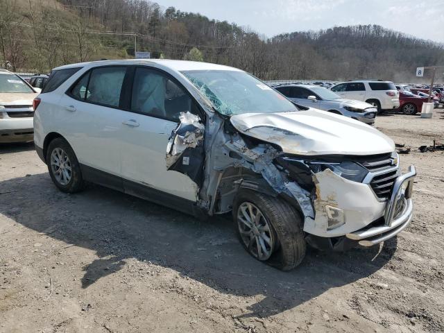 2019 CHEVROLET EQUINOX LS - 2GNAXSEV8K6146096