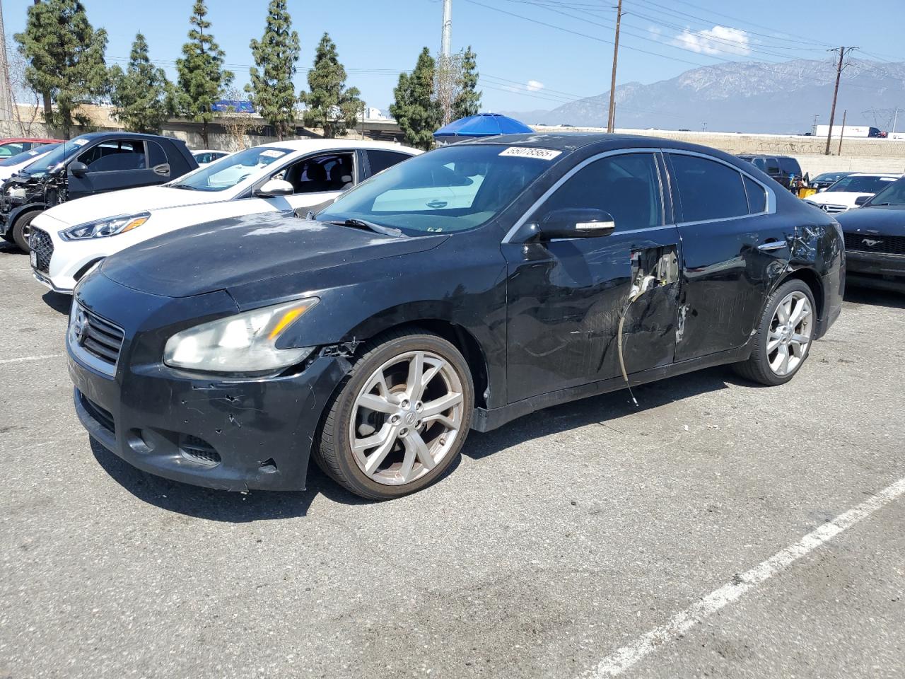 NISSAN MAXIMA S