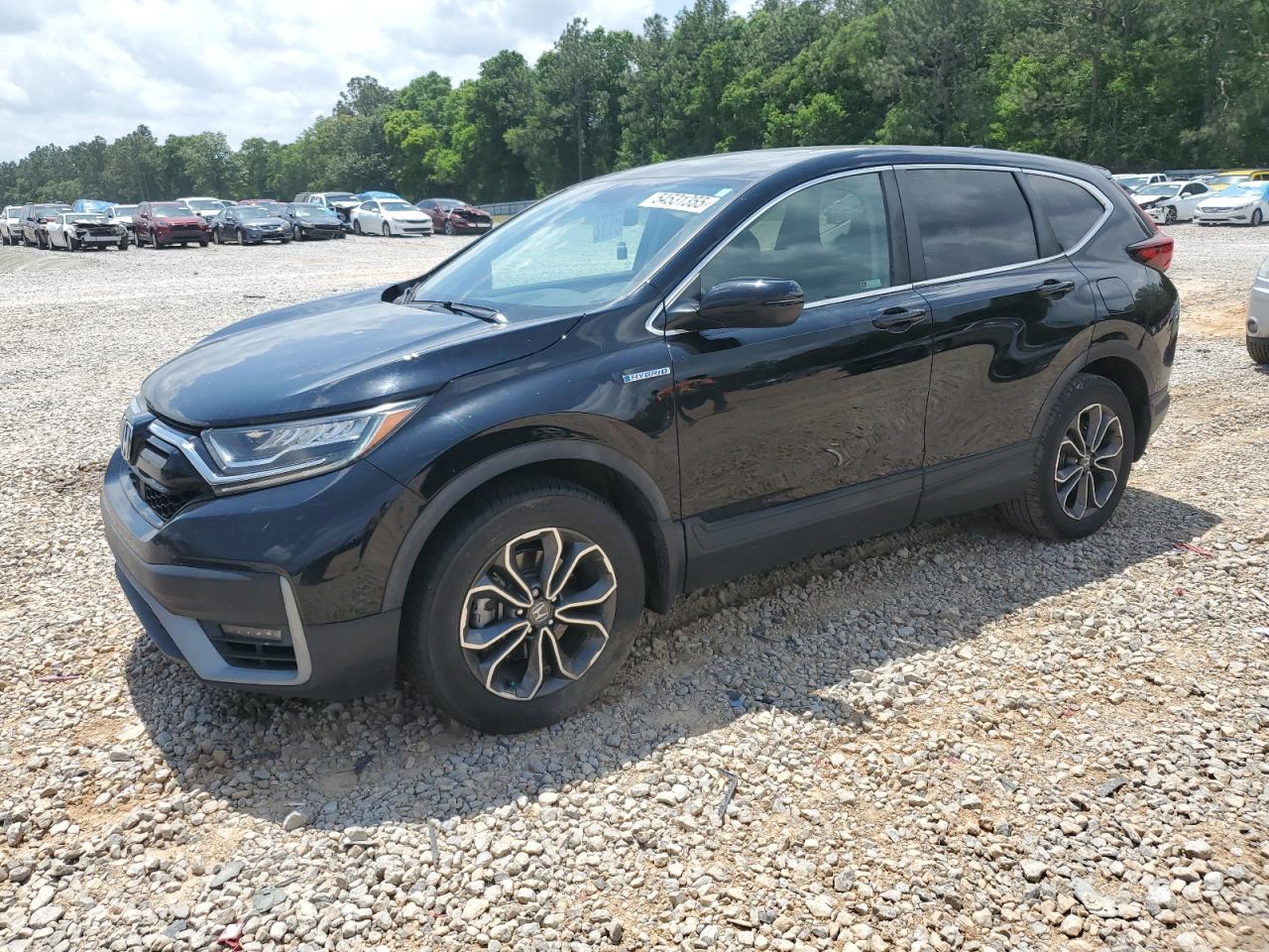 HONDA CR-V EX