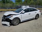 2017 HYUNDAI SONATA SPO - 5NPE34AF5HH558223
