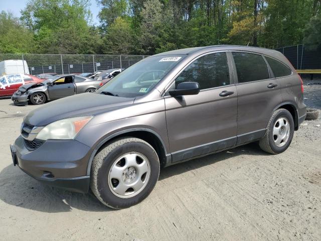 Vin: 5j6re4h35al063281, lot: 54419975, honda crv lx 2010 img_1