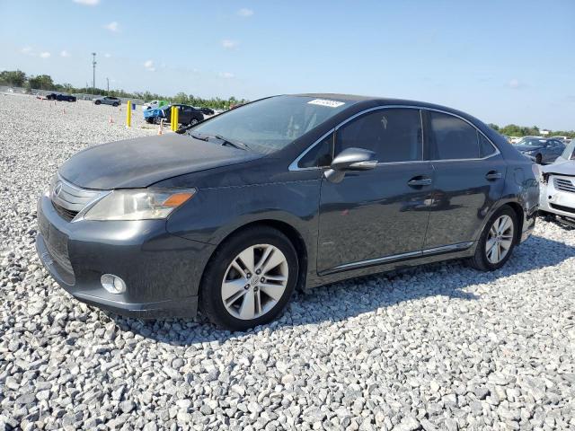 LEXUS HS 250H