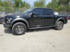 2018 FORD F150 RAPTO - 1FTFW1RG3JFC40415