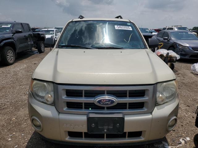 2011 FORD ESCAPE XLT - 1FMCU0D76BKA92498